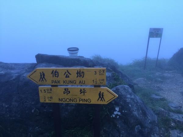 姜堰行刑反向衔接促进轻罪治理
